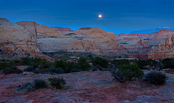 Desert Rock Moonlight