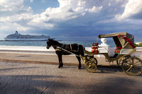 Horse Carriage and Cruise Liner