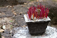 Incense in a Flowerpot