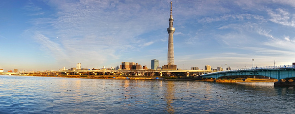 Sumida Skytree Panorama