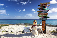 Signpost and a Snowman
