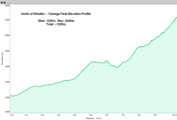 Cerise Vantage Elevation Profile