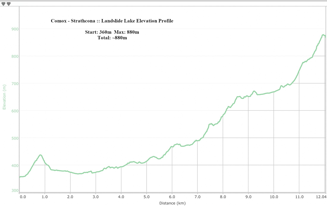Landslide Lake Elevation Profile