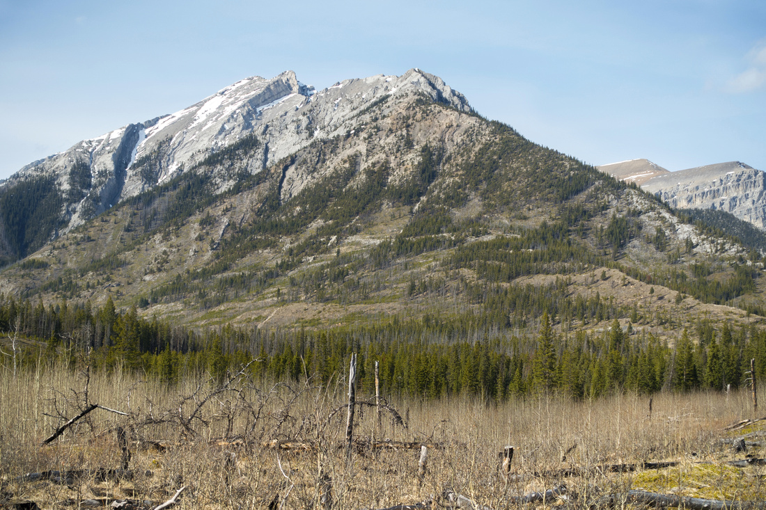 Mount Peechee from Carrot Meadows showing "Peechee Shoulder" ascent ridge; Main summit upper left