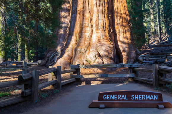 General Sherman