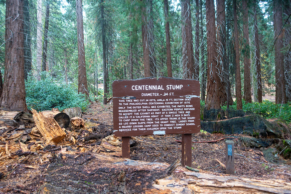 Centennia Stump