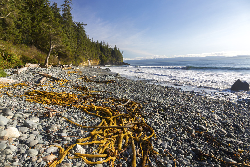 Mystic on sale beach camping