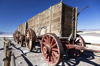Twenty Mule Wagon