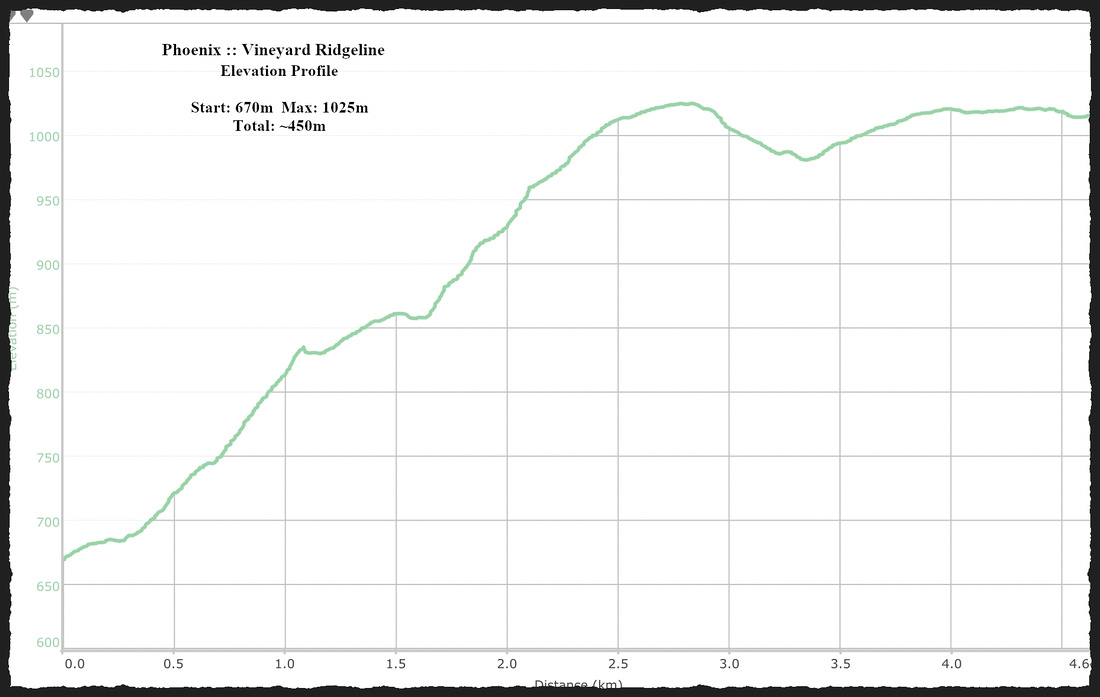 Vineyard Ridgeline Elevation Profile