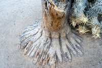 Foot Tree