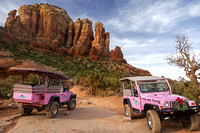 Pink Jeeps