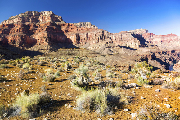 Tonto Plateau