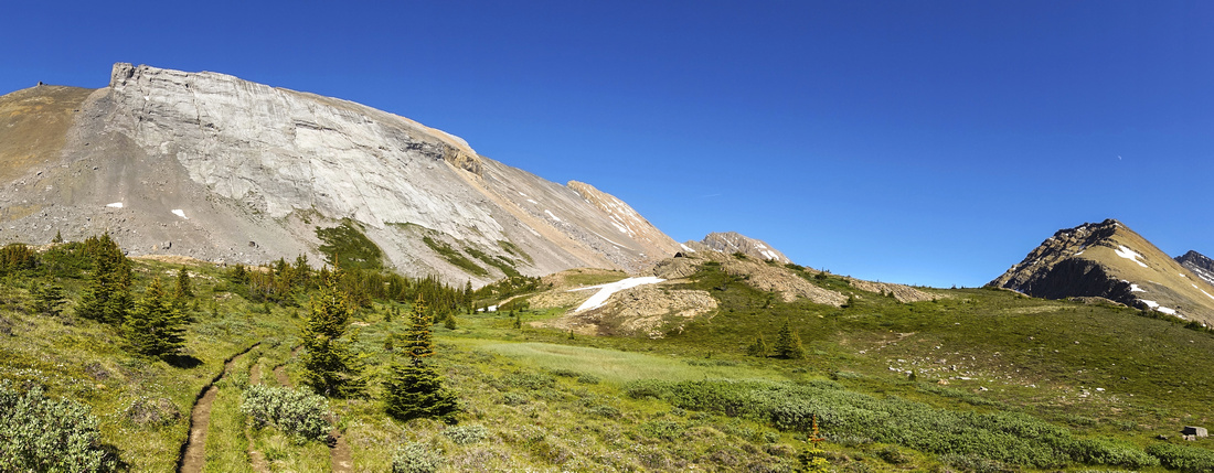 Trail approaching Nigel Pass.  Brazeau loop / South Boundary continues left, Cataract Pass / White Goat right