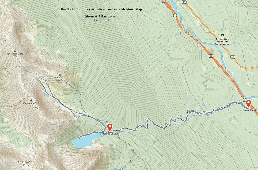 Taylor Lake - Panorama Meadows GAIA Map