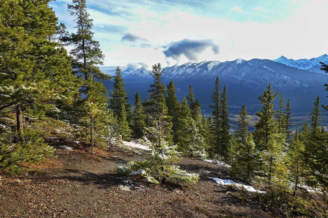Opening and Sulphur Mountain Viewpoint ~10 min before Stoney Trail Highpoint