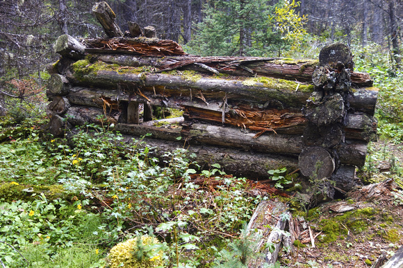 Log Cabin Ruins