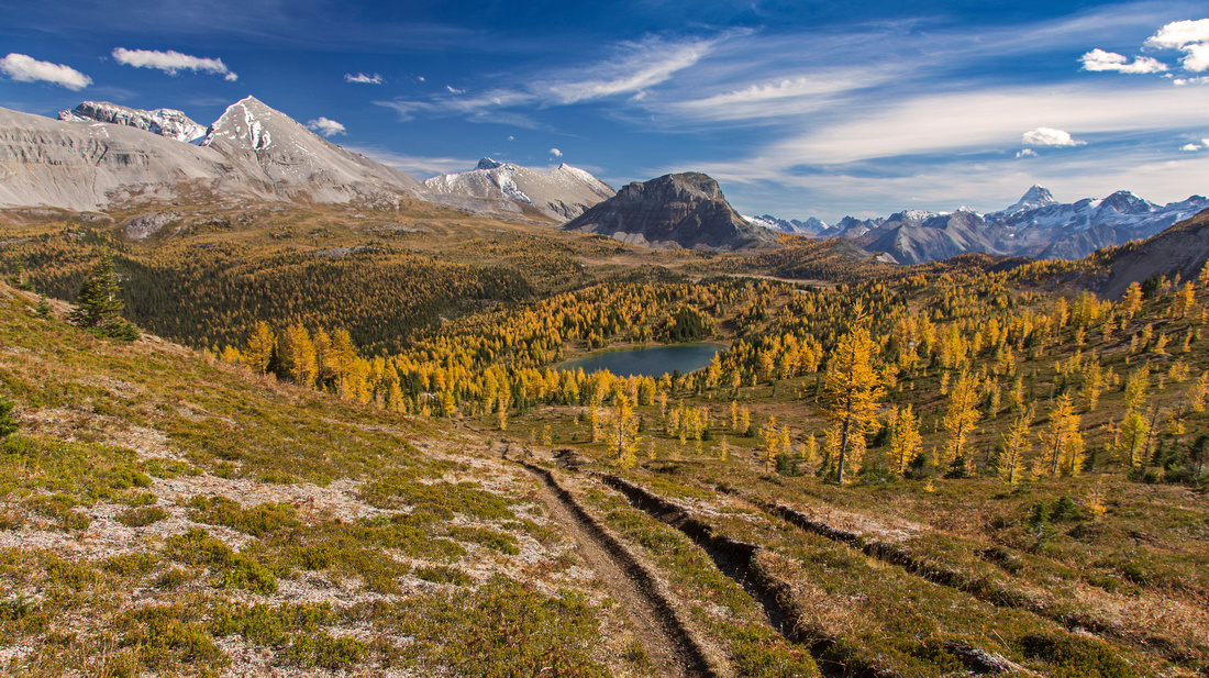 Panoramic View from Quartz Hill towards Citadel Peak. Howard Douglas Lake surrounded by golden larches below